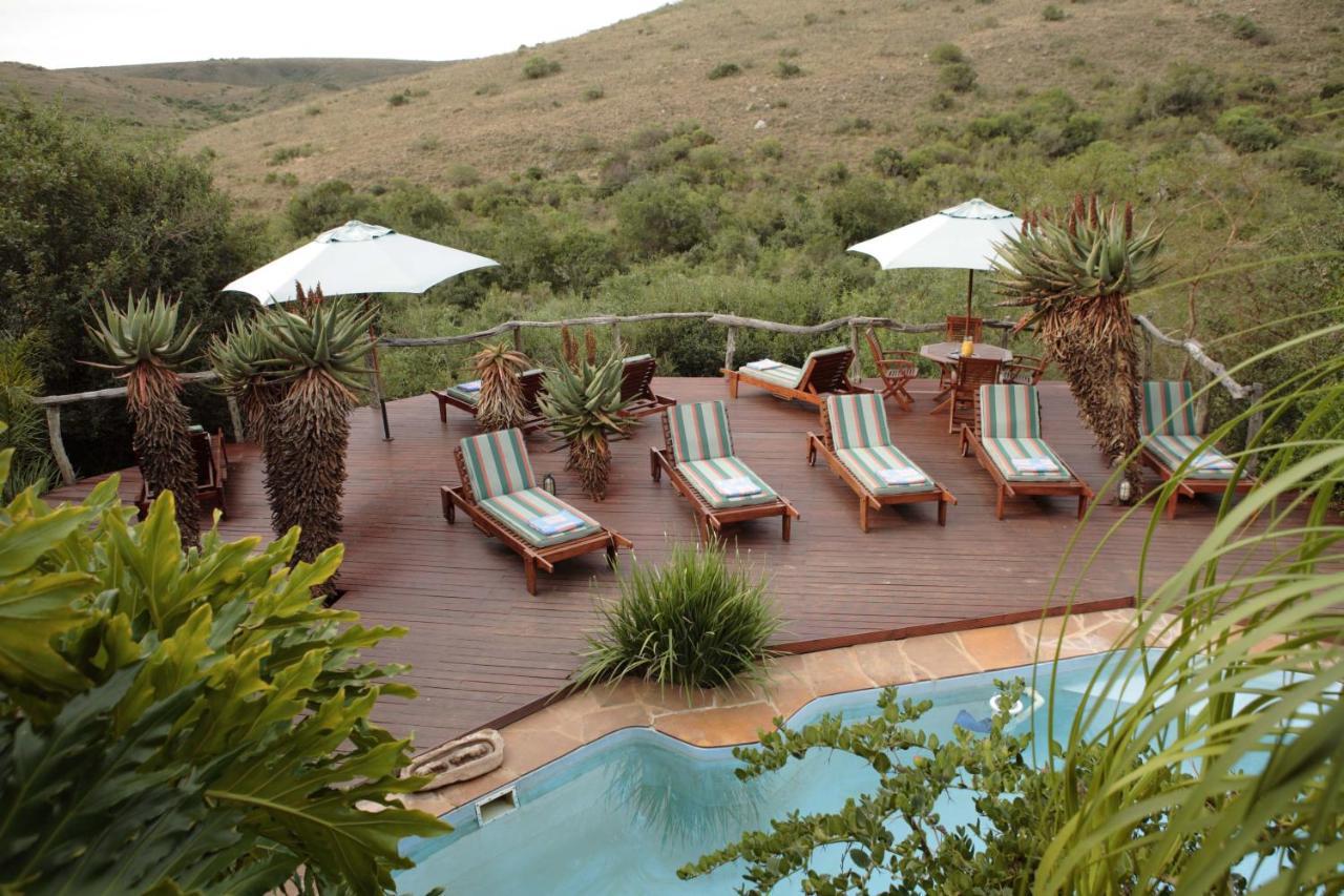 Lalibela Game Reserve Lentaba Safari Lodge Paterson Eksteriør billede