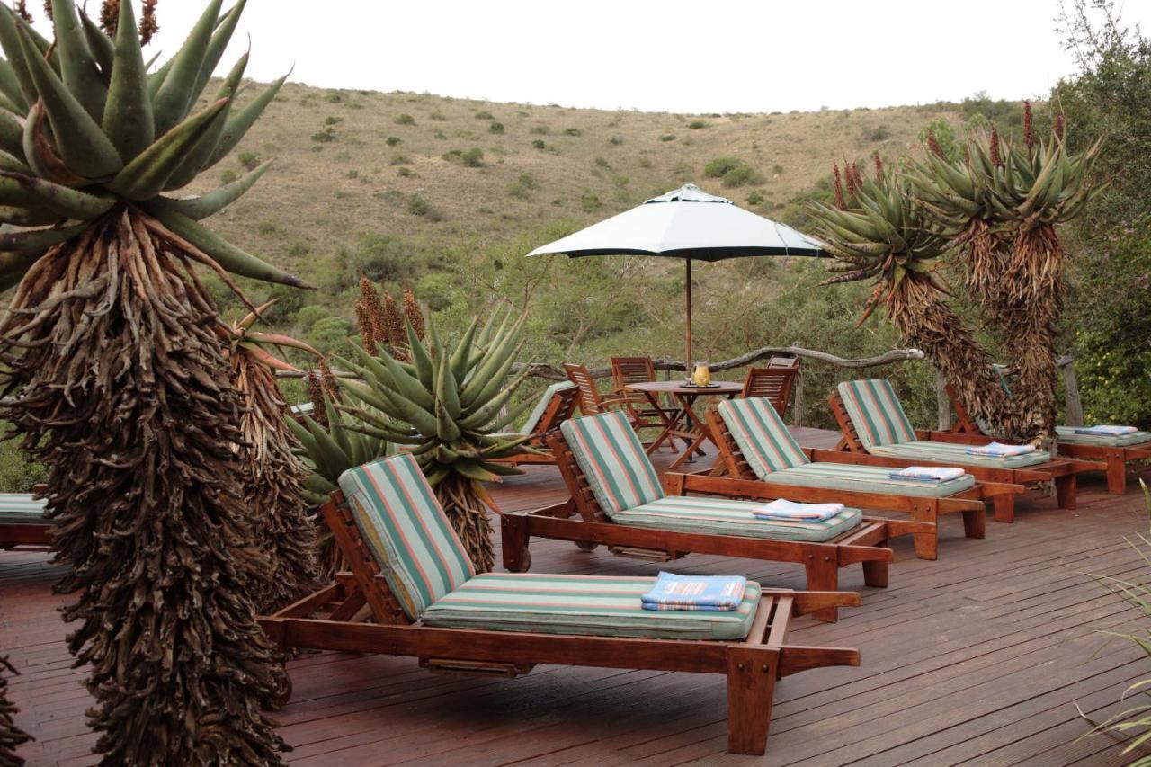 Lalibela Game Reserve Lentaba Safari Lodge Paterson Eksteriør billede